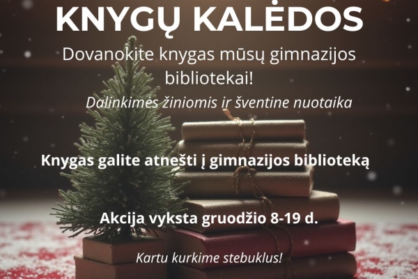 Knygų Kalėdos